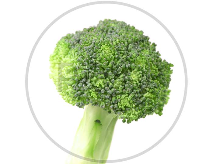 Fresh Broccoli Close Up. Isolated On A White Background.