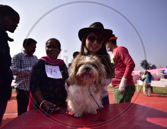 Dog Lovers With Their Dogs  show in Guwahati