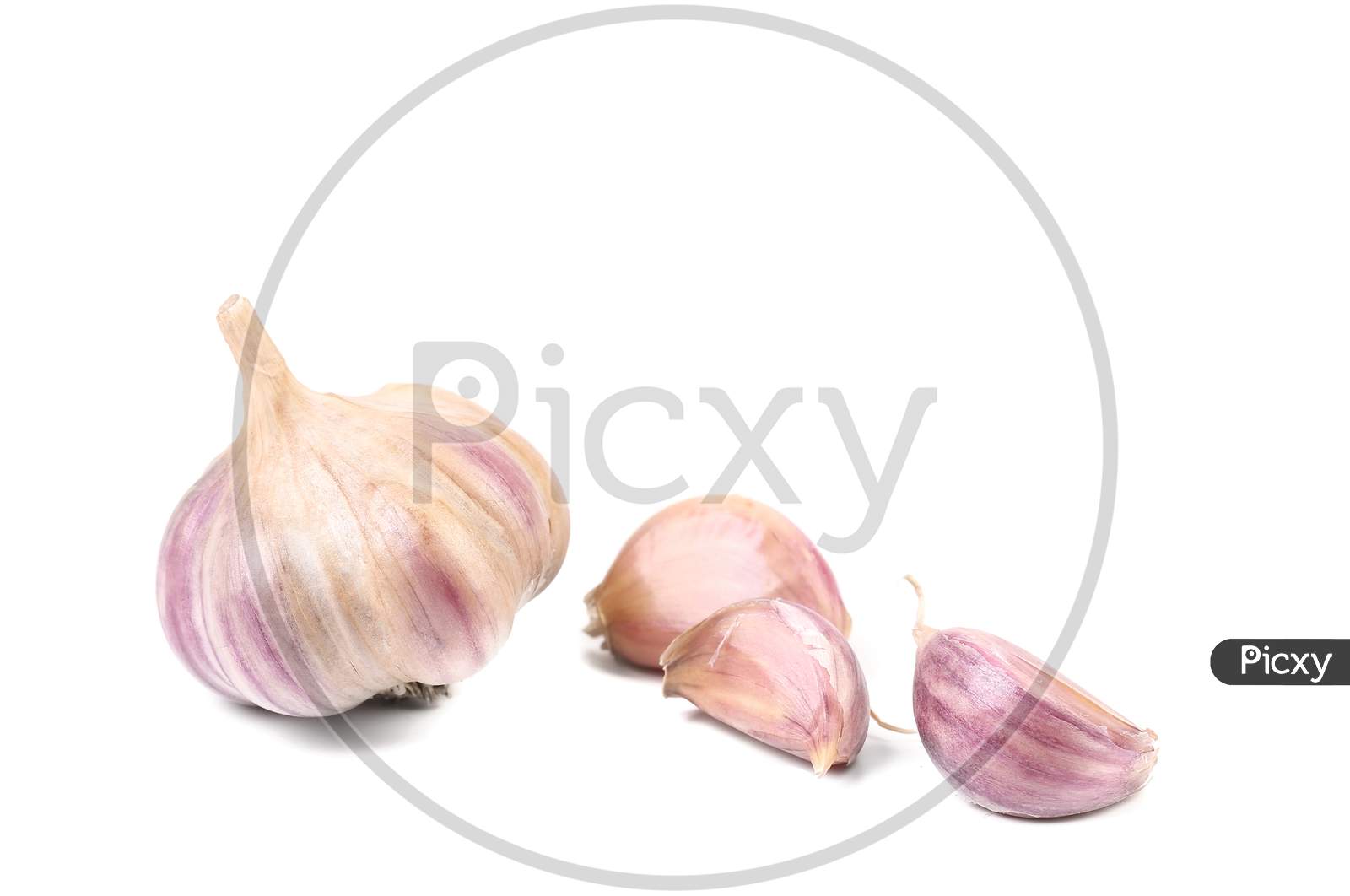 Fresh Garlic Whole And Cloves. Isolated On A White Background.