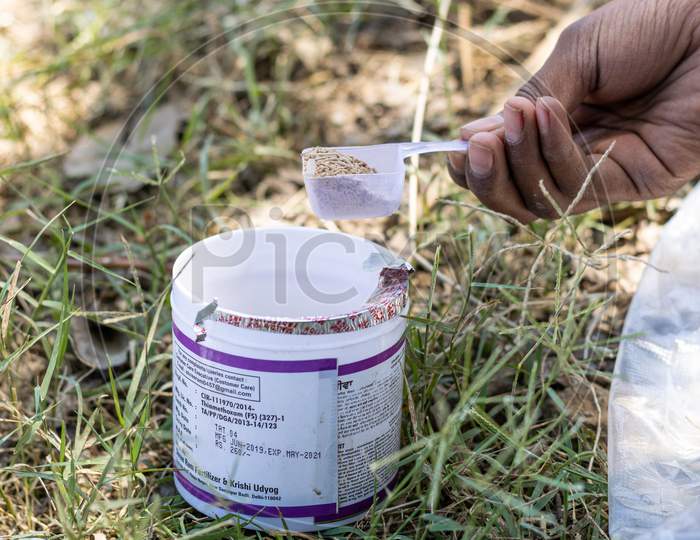 A farmer taking Thaimethoxam insecticide into a spoon