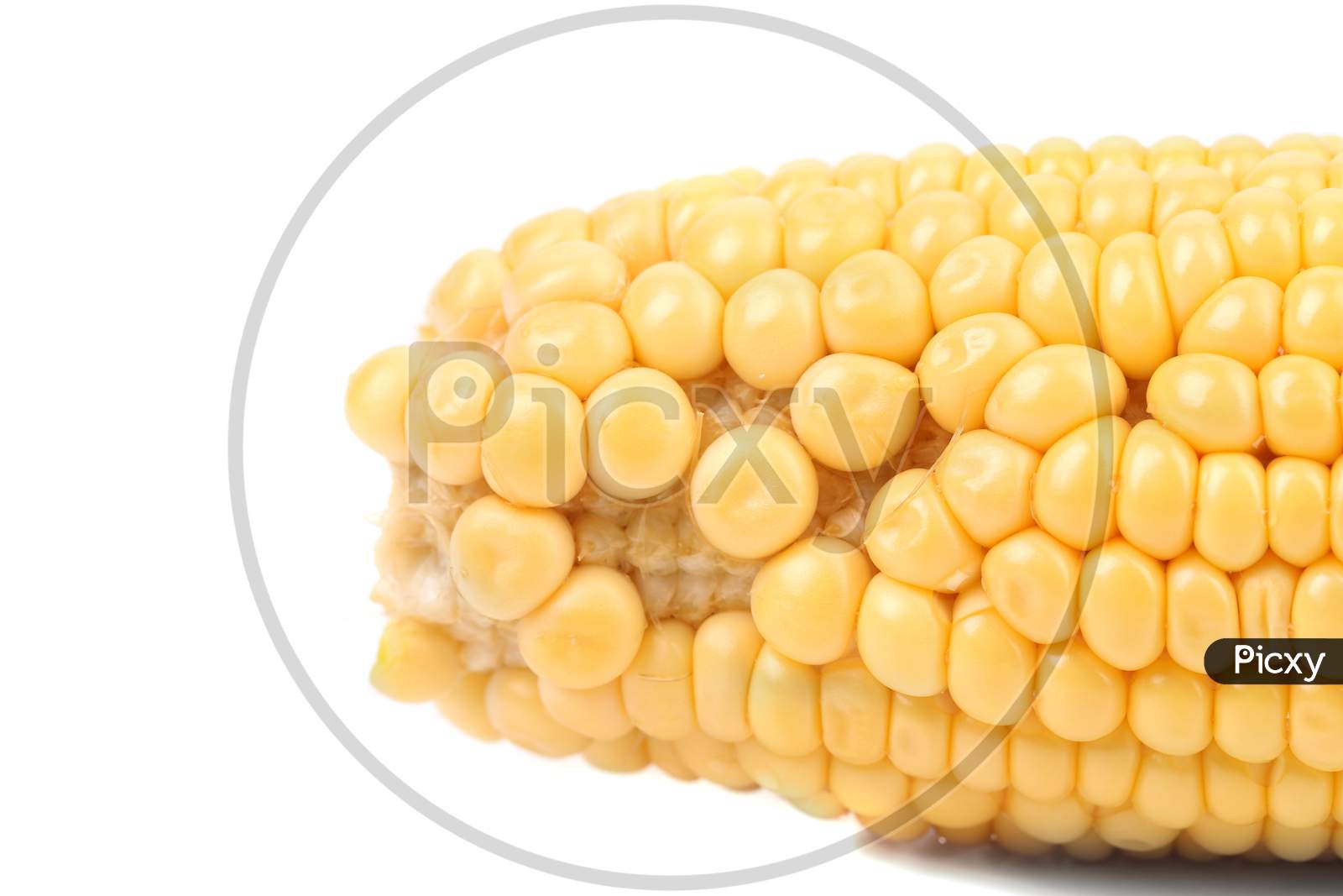 Tasty Yellow Ear Of Corn. Isolated On A White Background.