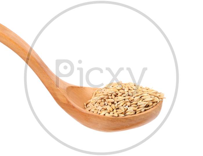 Grains Of Barley Close Up. Isolated On A White Background.
