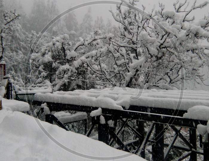 Close up view of Shimla during snow fall in Shimla.