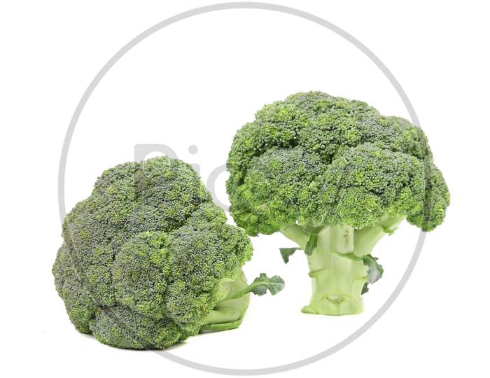 Two Fresh Broccoli Close Up. Isolated On A White Background.