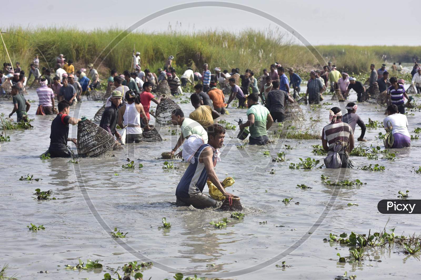 Villagers participate in a community fishing event as part of celebrations for the Bhogali Bihu, or the harvest festival of Assam, in Nagaon district, in the northeastern state of Assam