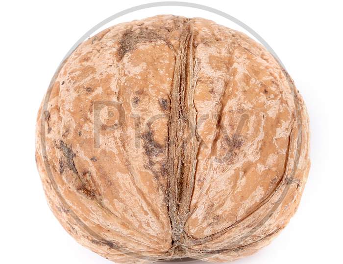 Close Up Of Walnut. Isolated On A White Background.