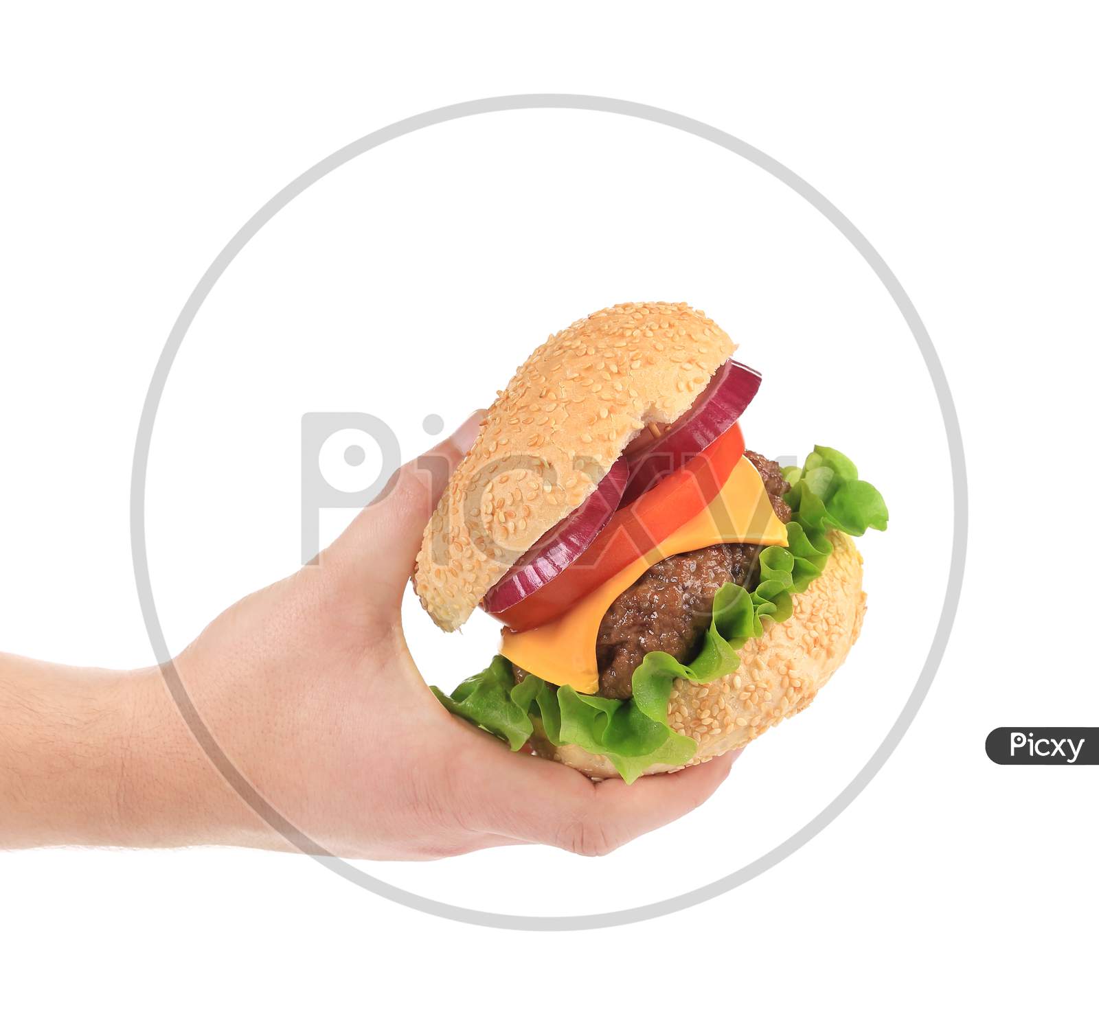 Big Tasty Hamburger In Hand. Isolated On A White Background.