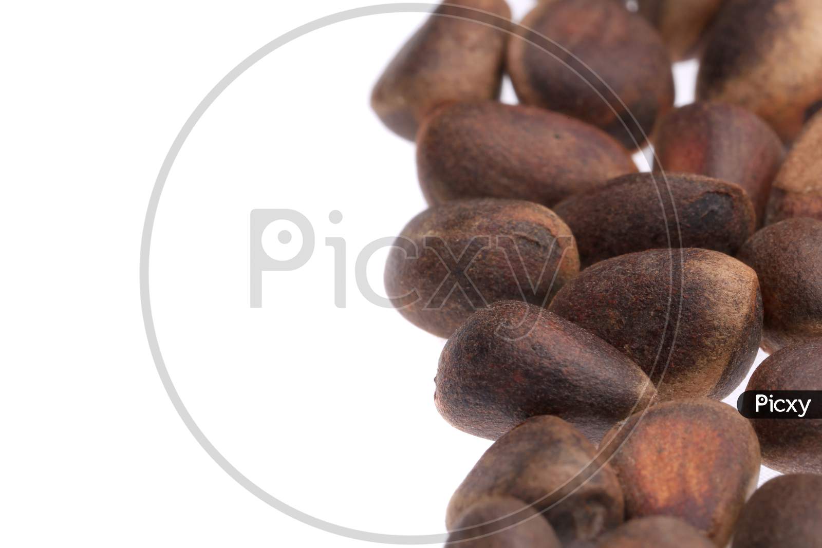 Close Up Of Pine Nuts. Whole Background. Place For Text.