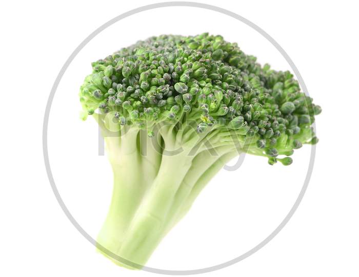 Close Up Of Fresh Broccoli. Isolated On A White Background.