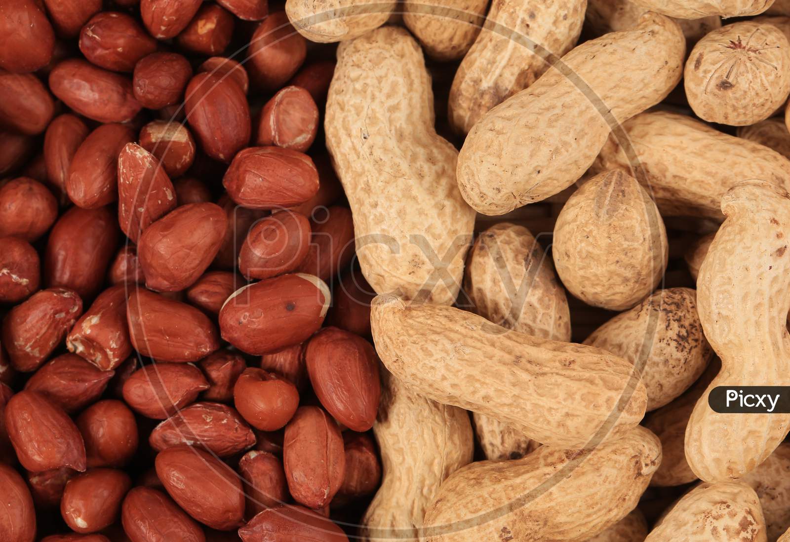 Close Up Of Peeled Peanuts. Whole Background.