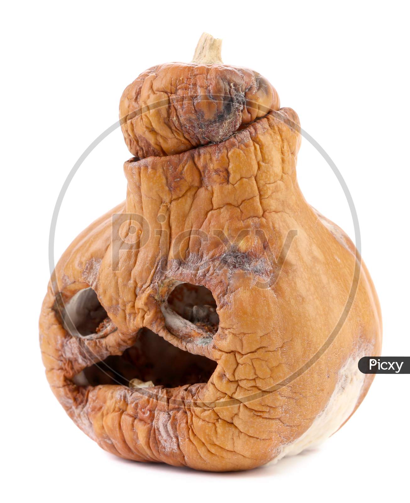 Old Halloween Pumpkin. Isolated On A White Background.