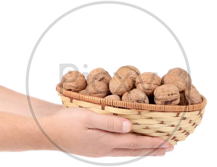 Basket Of Walnuts In Hands. Isolated On A White Background.