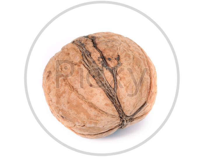 Close Up Of Walnut. Isolated On A White Background.