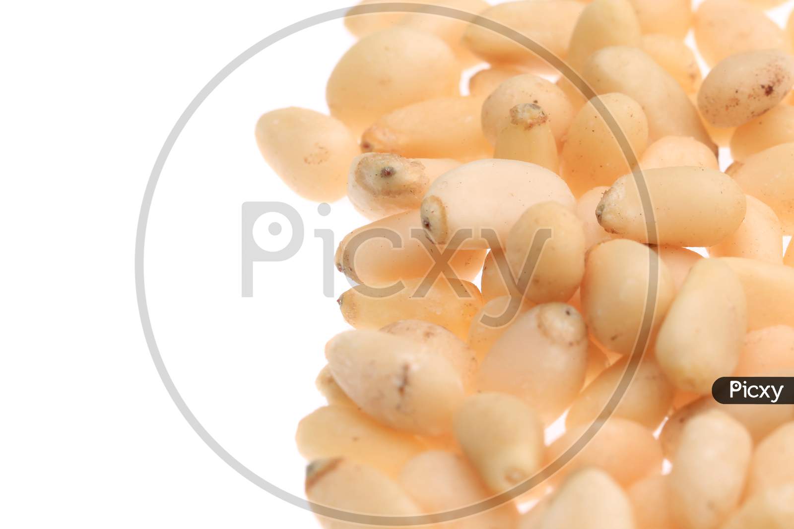 Pile Of Pine Nuts. Close Up. Whole Background.