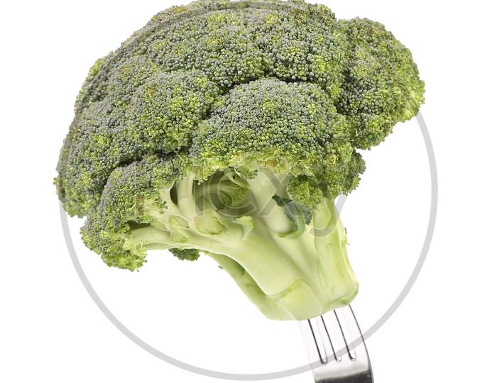 Fresh Broccoli On A Fork. Isolated On A White Backgropund.