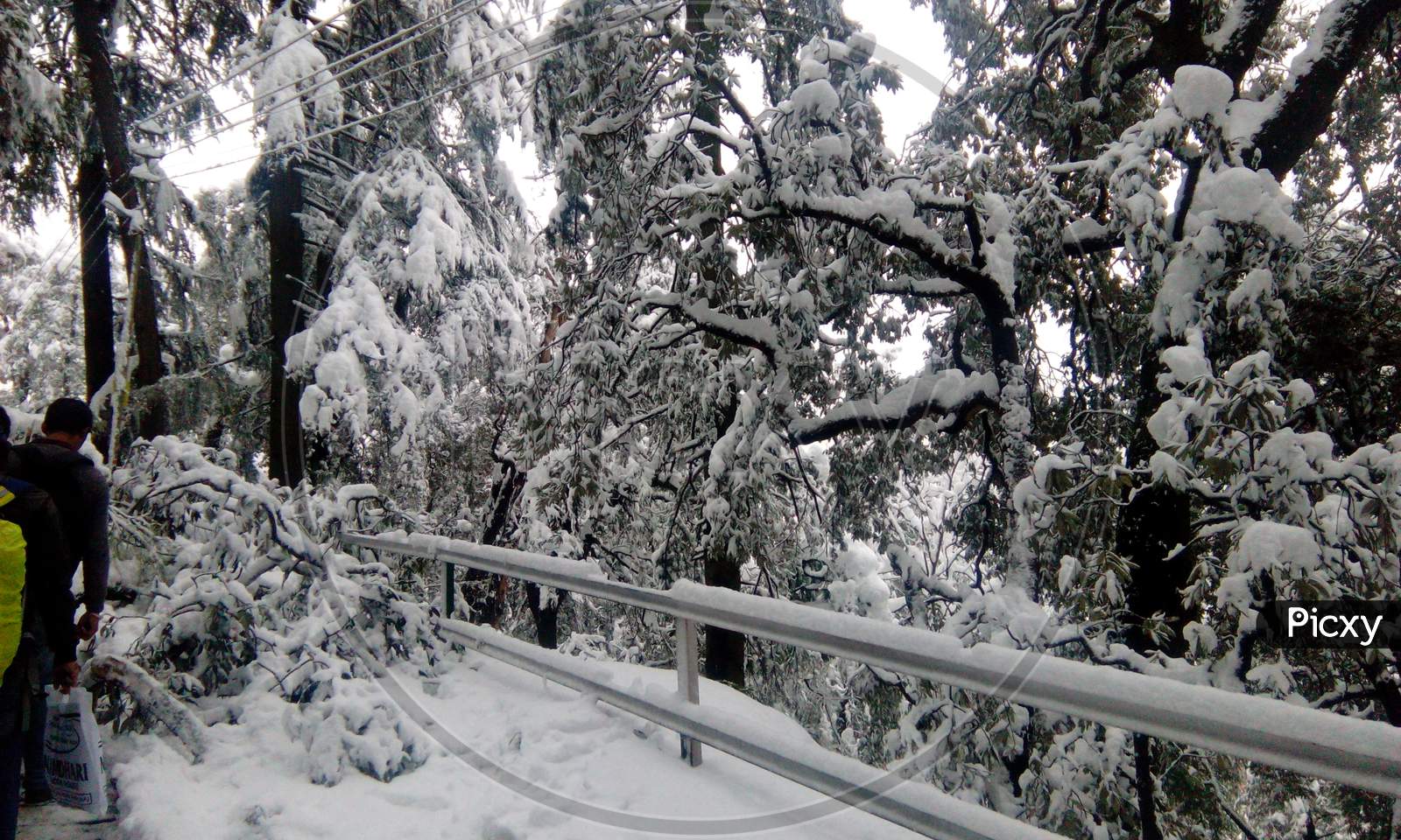 Close up view of Shimla during snow fall in Shimla.
