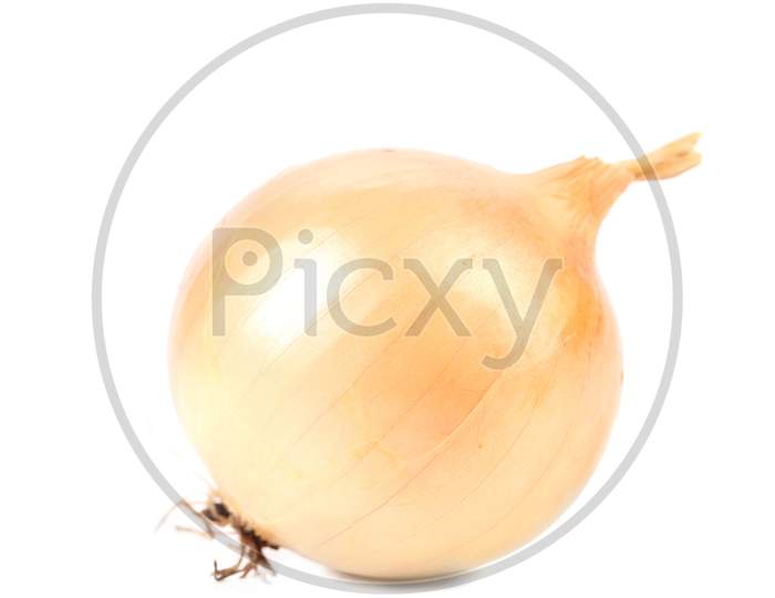 Golden Ripe Onion. Isolated On A White Background.