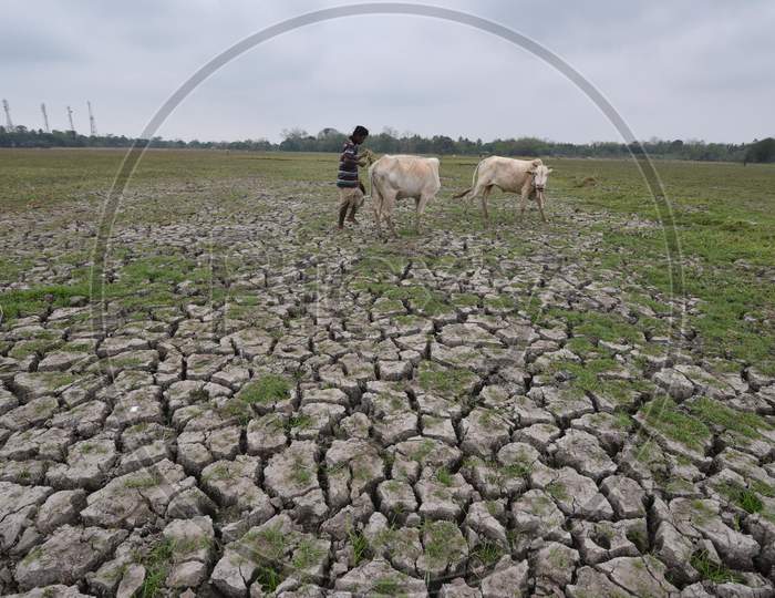 Dried Agricultural Lands in Morigaon On a Hot Summer Day