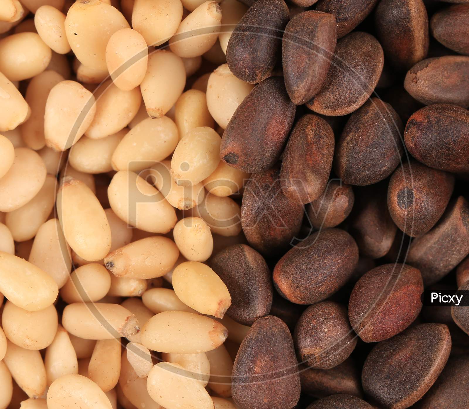 Bunch Of Pine Nuts. Close Up. Whole Background.