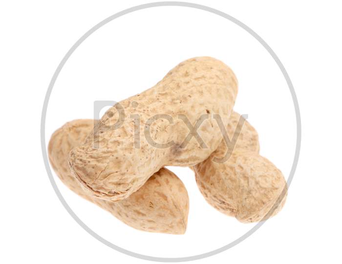 Close Up Of Peanut. Isolated On A White Background.