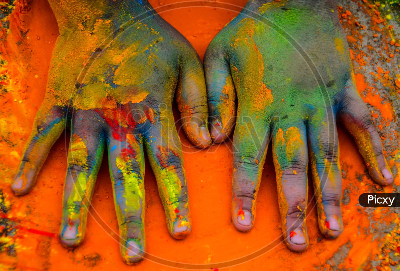 a pair of painted hands during Holi the festival of colours