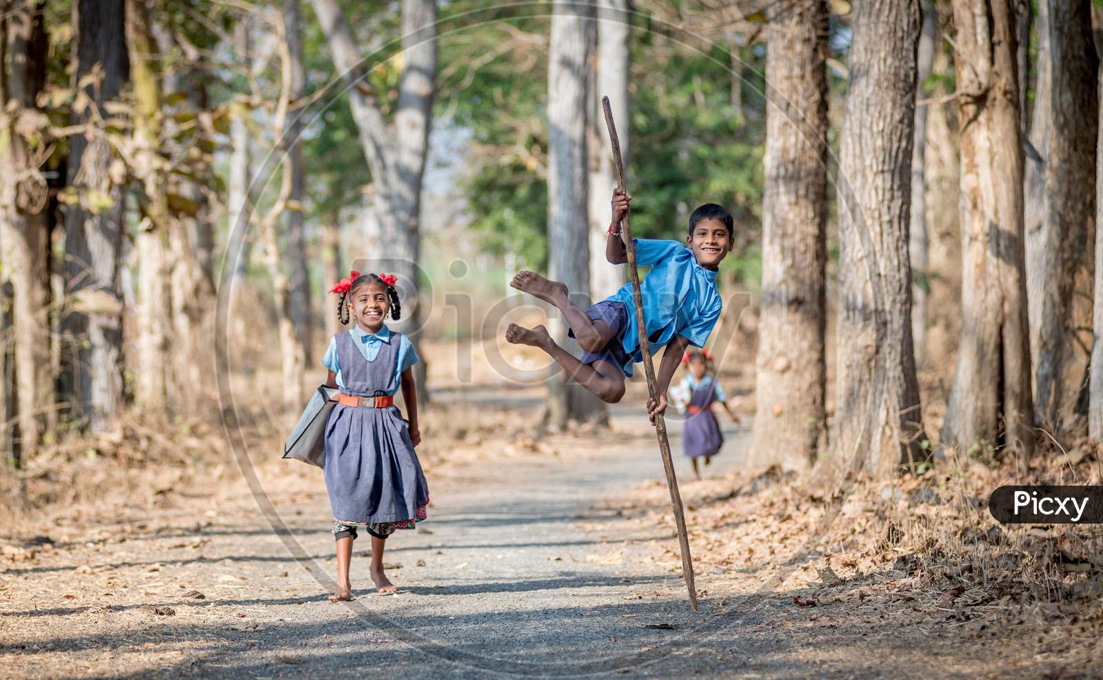 DANDELI, KARNATAKA, INDIA, FEBRUARY 13, 2017 :  Unidentified school children walking back to home from their school on 13 February 2017 in Dandeli, India.