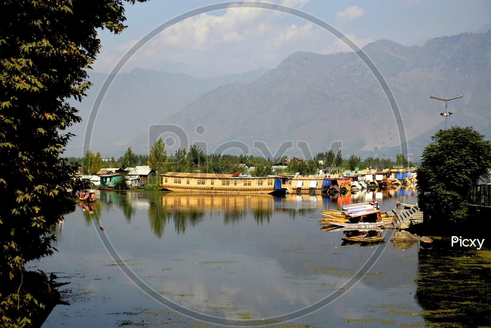 Dal Lake ,  A Calm Dal Lake With Boats in Srinagar With out Tourists Due to Corona Virus or COVID -19 Outbreak in India