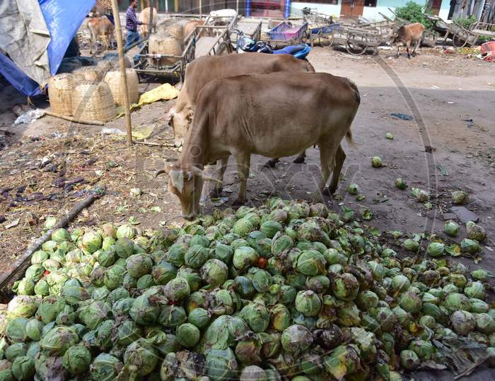 Nagaon,India-April 08,2020:Cattle Feed On  Damaged Vegetables At A Wholesale Vegetable Market During A Nationwide Lockdown Imposed In The Wake Of Coronavirus Pandemic, In Nagaon District Of Assam ,India