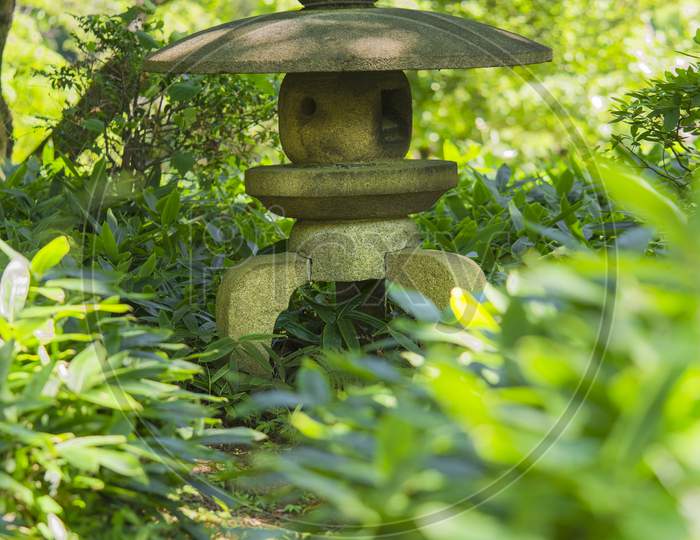 Circular Stone Path That Cuts Its Way Between Bushes To A Rounded Stone Lantern Under A Maple Tree In Rikugien'S Garden In Tokyo, Japan.