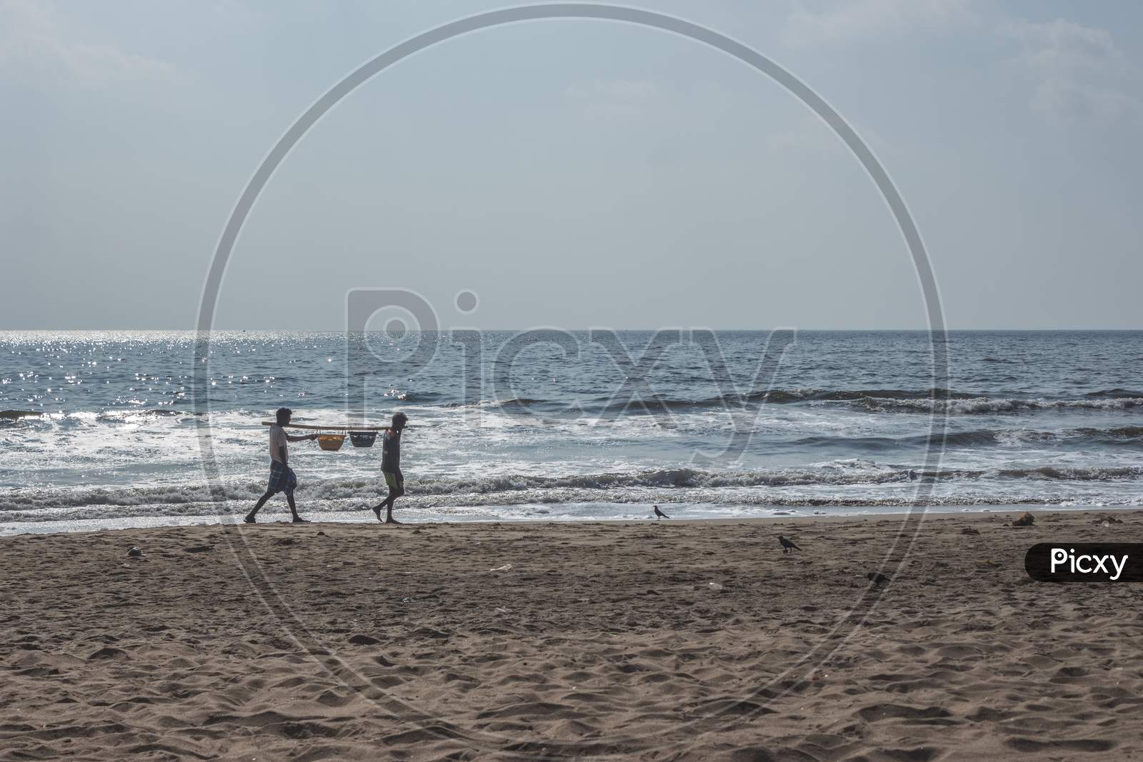 Fisherman Walking And Carrie On The Beach With Sea Fishes And Fishing Net. Two Indian Fisherman Walking On Beach Sand