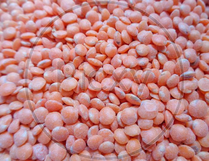 Red lentils or musur dal, high protein food