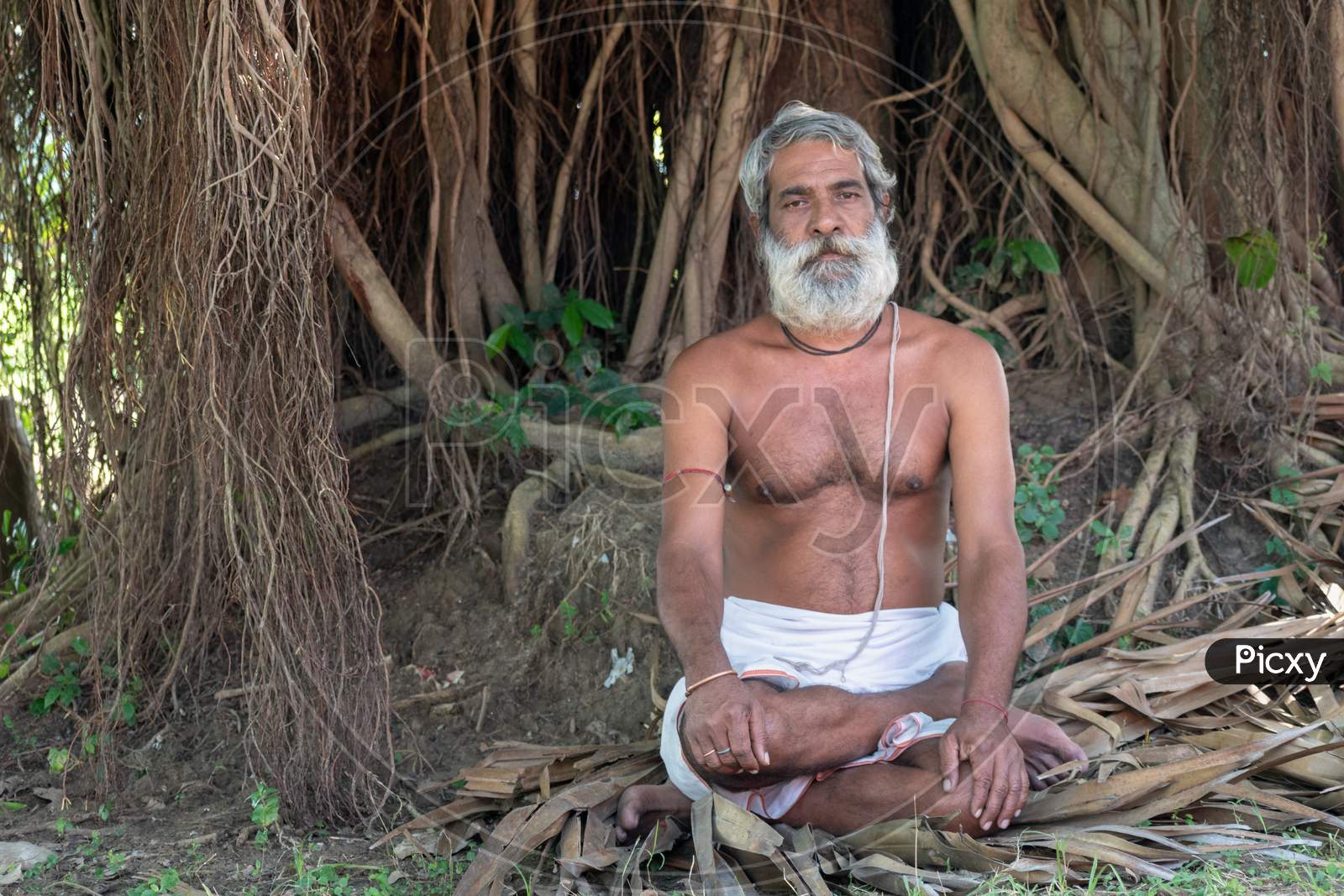 An Indian monk sitting under a banyan tree in a jungle