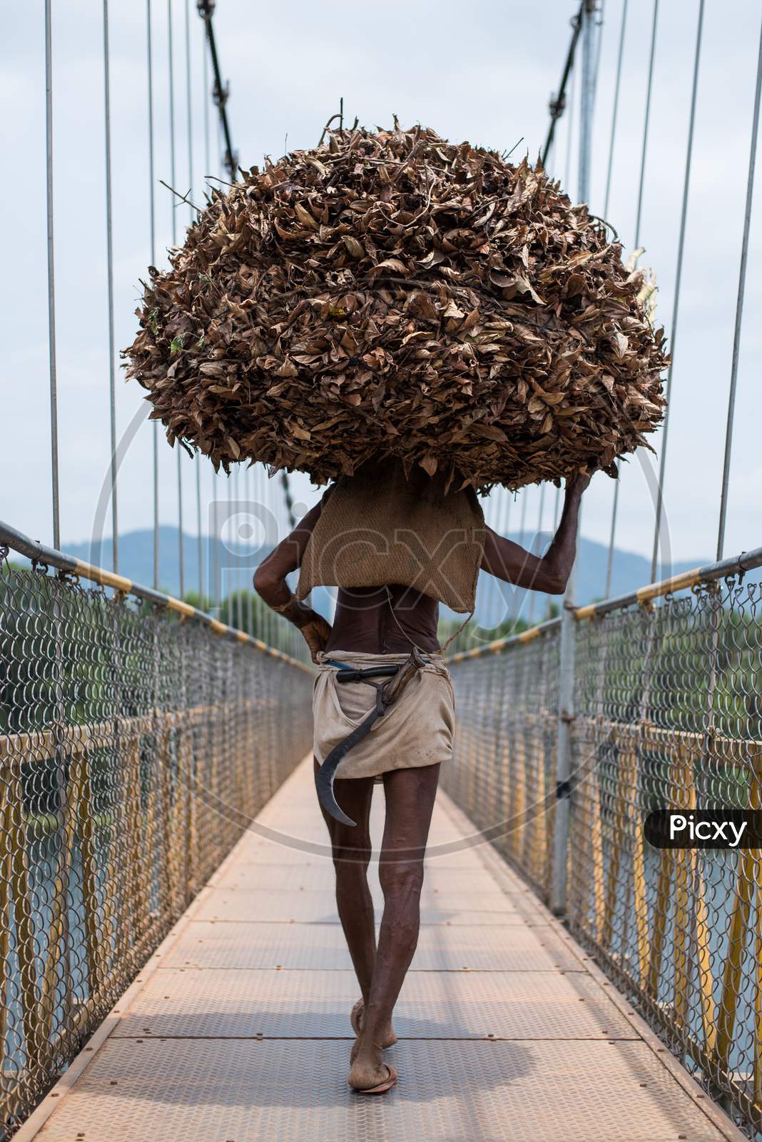 An old man carrying firewood and dried leaves on a suspension bridge