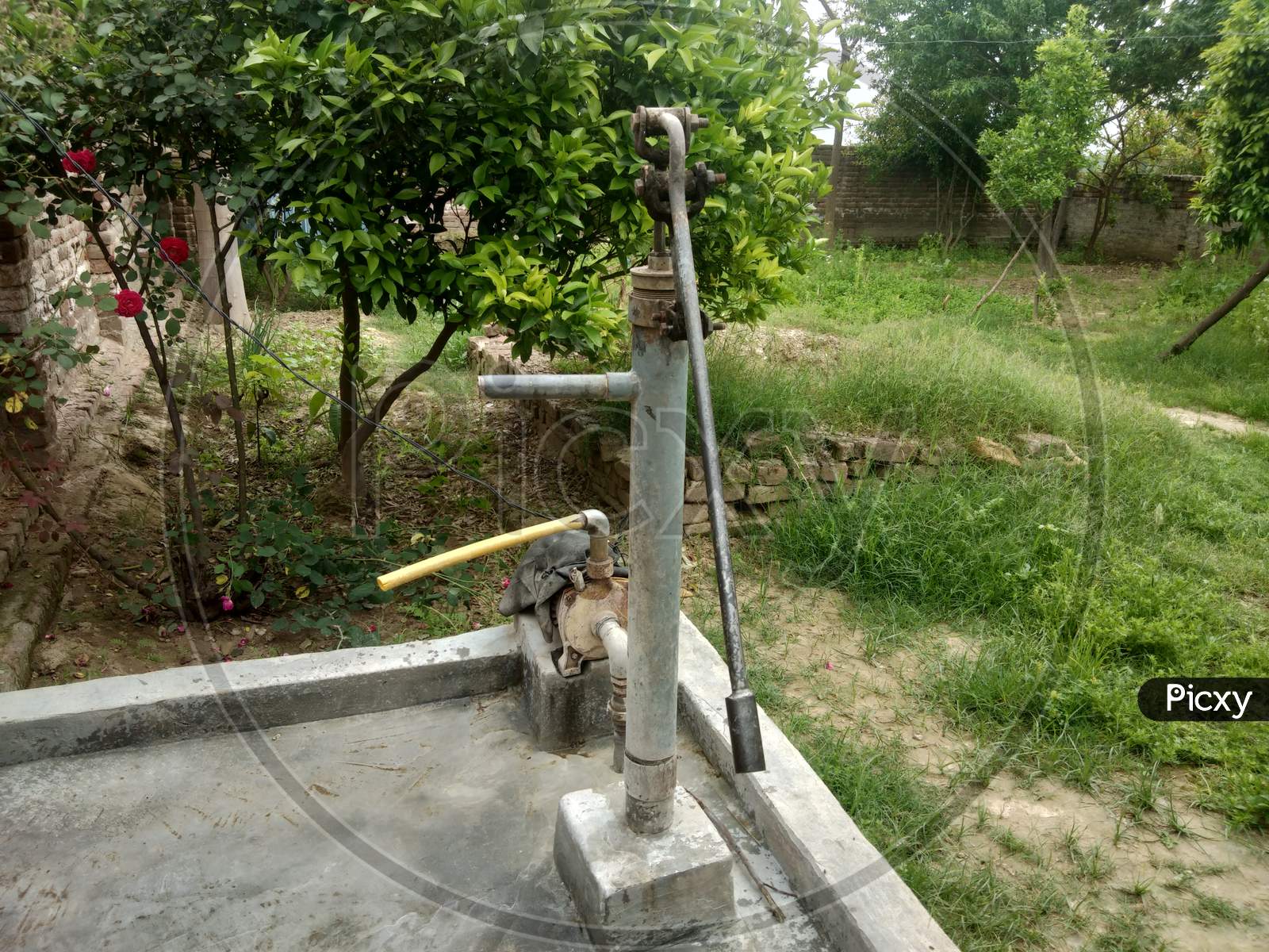 A water tap in village life with green plants in background