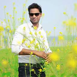Profile picture of shalender kumar on picxy