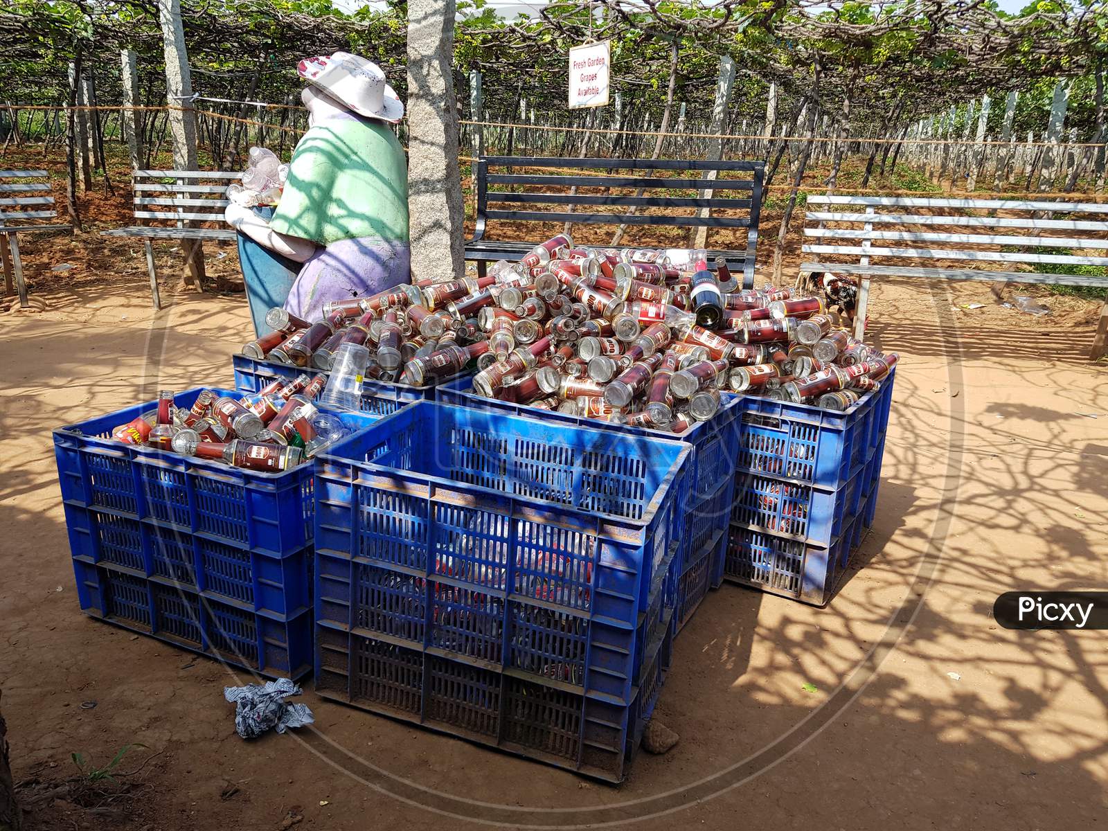 Empty liquor and beer bottles piled up in the dustbin after the wine shops were reopened after Covid19 corona virus pandemic lockdown