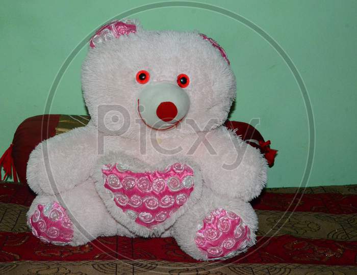Baby toy teddy bear in the home nadaun Himachal Pradas,India