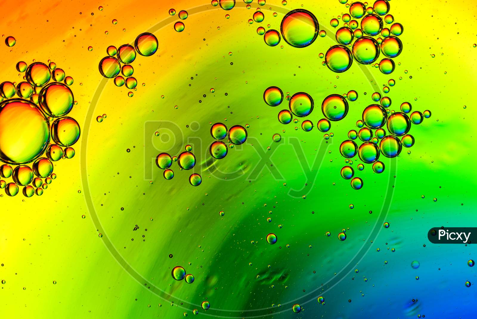 abstract multicolored background made of oil bubbles on water