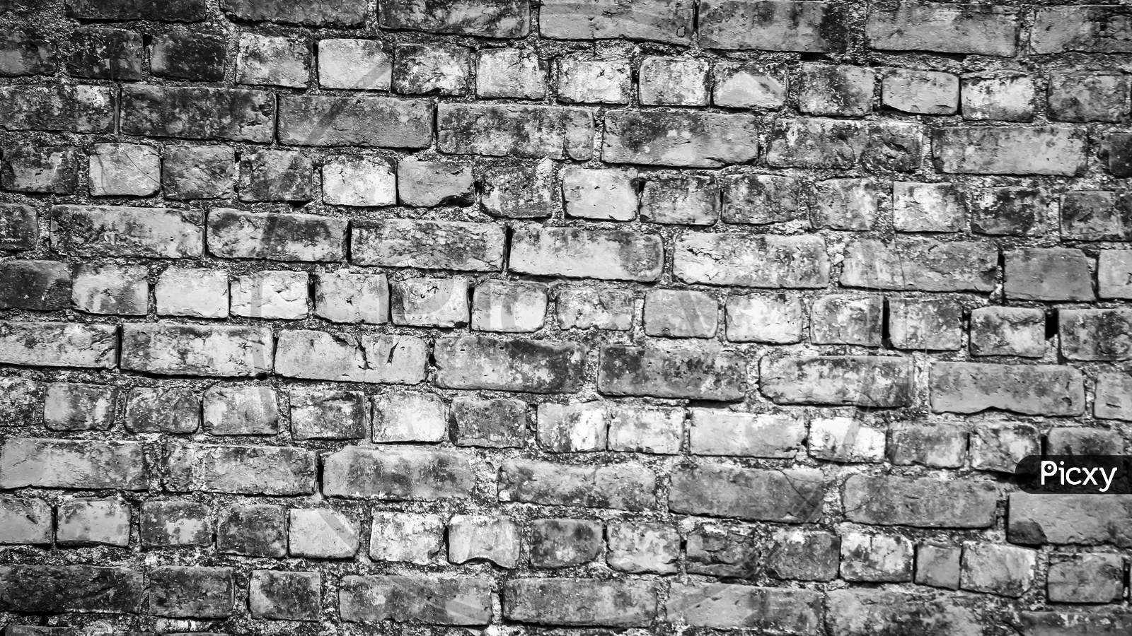 white bricks textures seamless