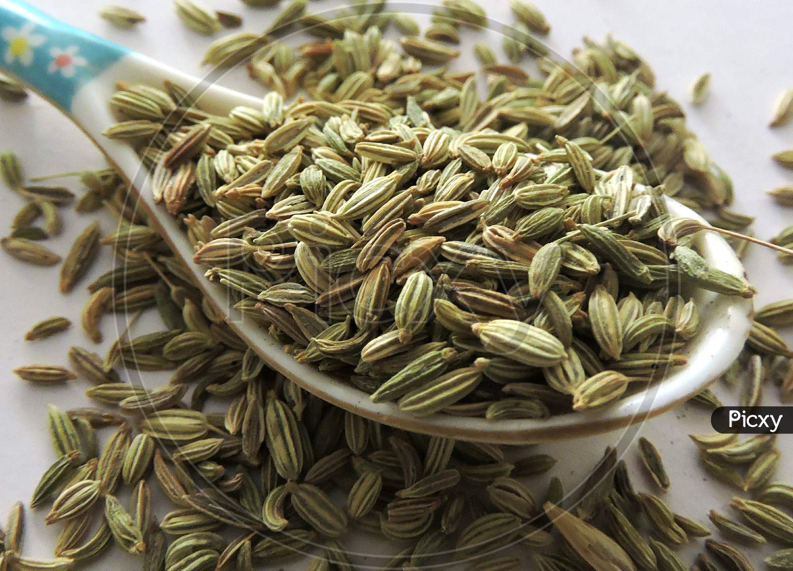 Spice - Fennel seeds