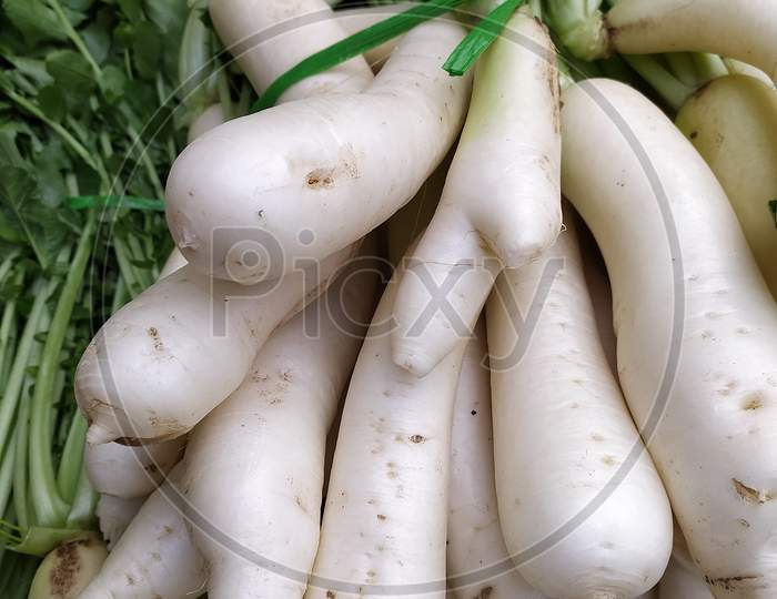 A close up view of radish with green leaves.