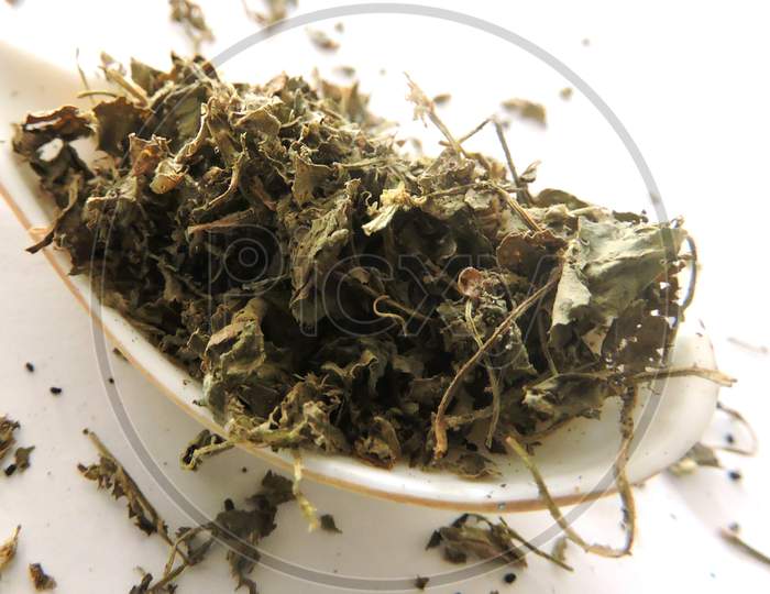 Spice - Fenugreek dry leaves