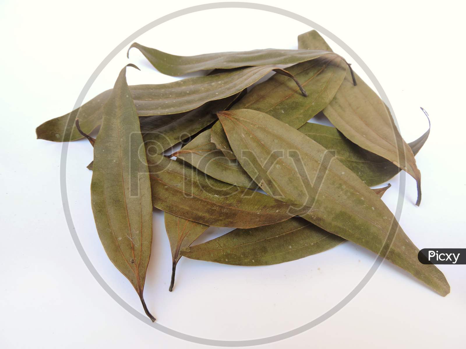 Spice - Bay leaf