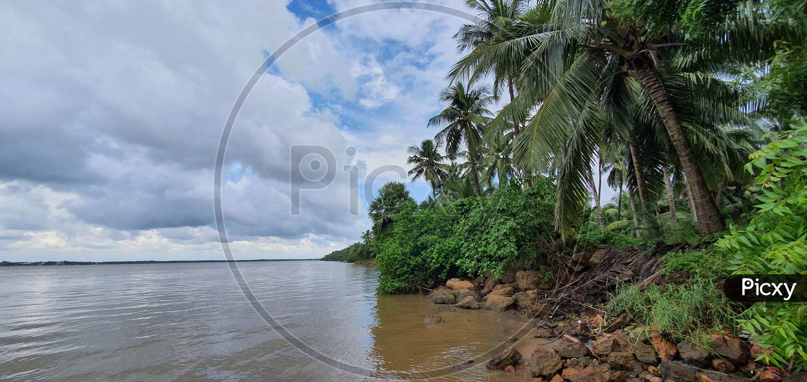Scenic view of coconut trees on the Godavari river banks in Yanam