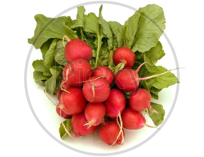 A bunch of freshly picked radishes