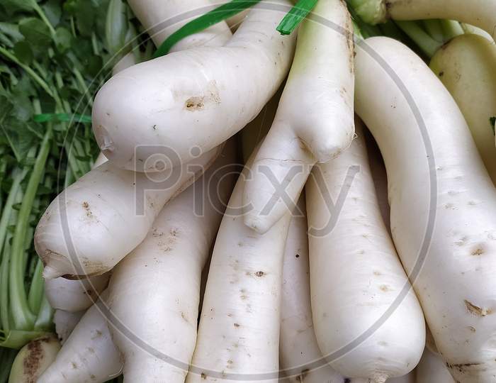 A close up view of radish with green leaves.