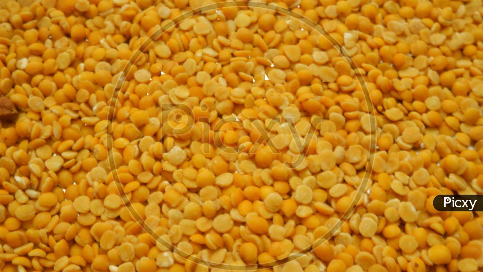 Indian  Dhal close up view