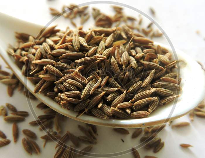 Spice - Cumin seeds