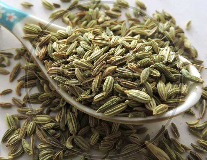 Spice - Fennel seeds