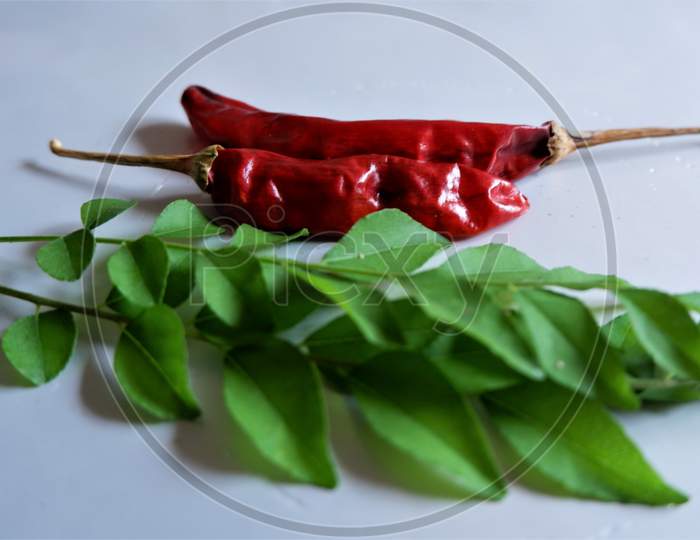 red hot chili and curry leaves